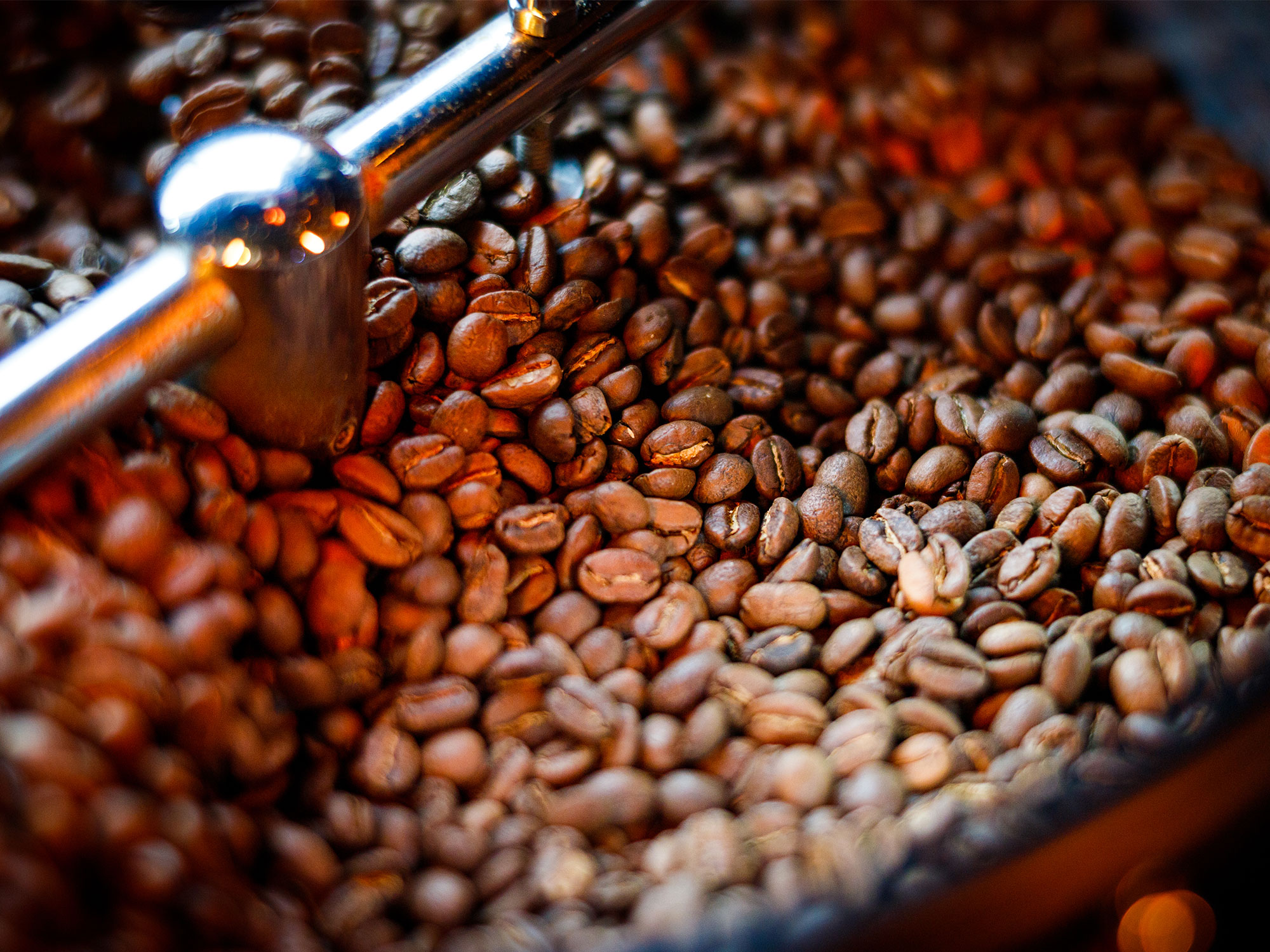 Behind the beans at a Dromana roastery