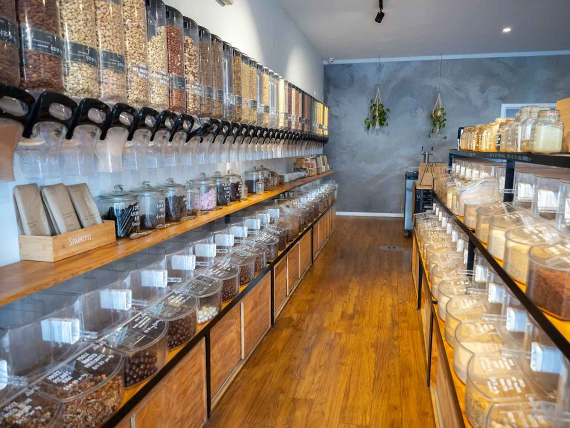 Sustainable living on the Peninsula: A Dromana resident's guide to eco-conscious choices