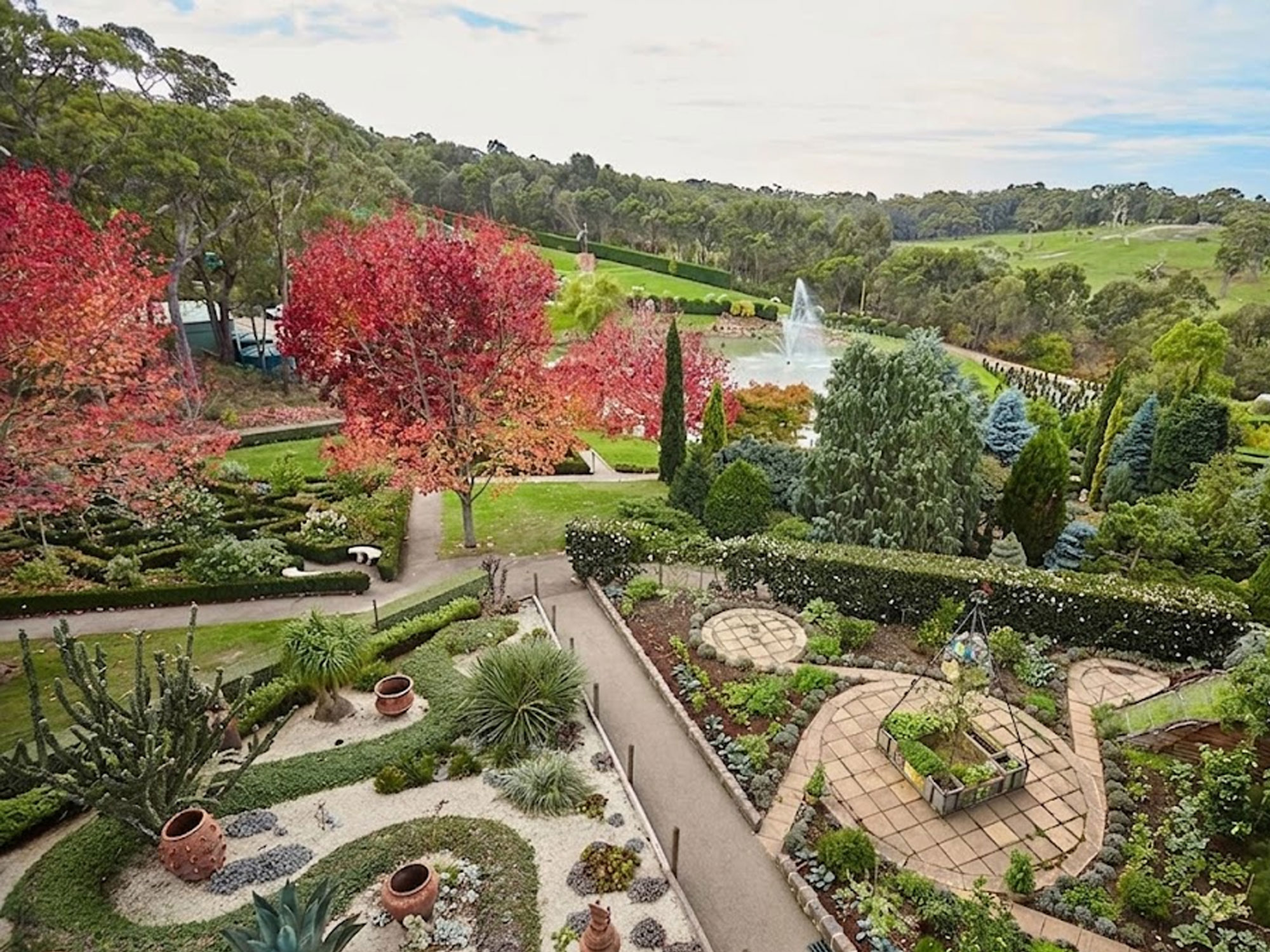 The Peninsula gardener's guide to native plants in Crib Point